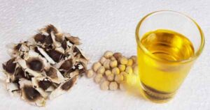 buy moringa oil