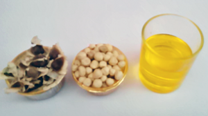 BUY oringa-oil-cold-pressed-suppliers