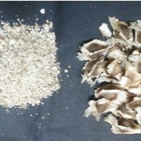 moringa seeds powder for sale