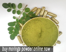 Buy Organic Moringa Powder