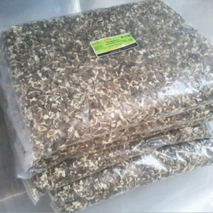 moringa seeds for moringa oil extraction