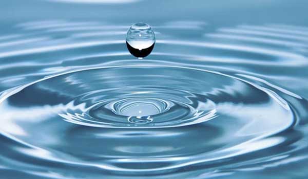 Natural Water Purification:
