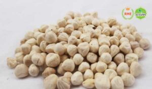 Moringa seeds kernel-Malunggay - Semillas De Moringa - Drumstick Tree