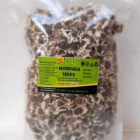 Moringa-plantation-seeds