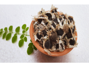 buy organic moringa seeds