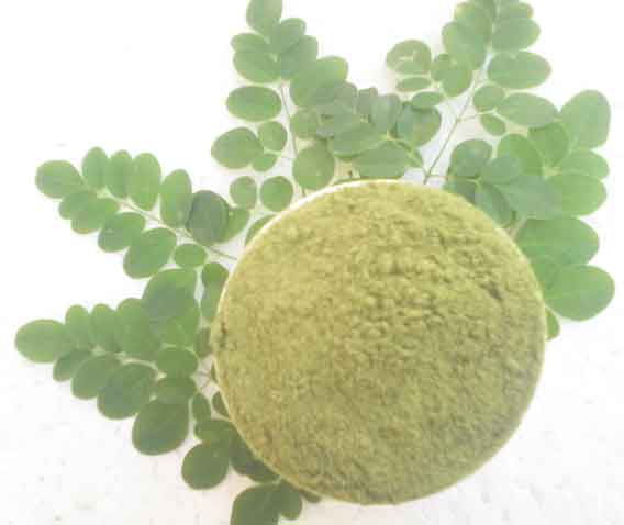 Moringa leaf powder