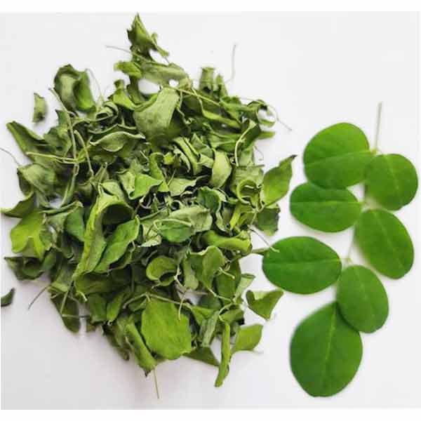 buy organic moringa tea