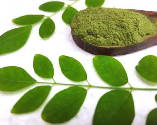 organic moringa leaf powder