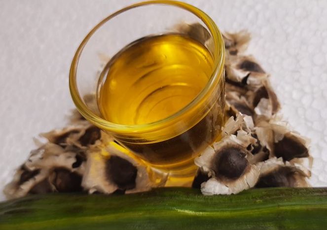 moringa hair oil