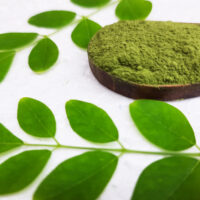 Organic Moringa Powder - Suppliers & Manufacturers in India